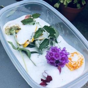 Silica Gel For Flower Preservation