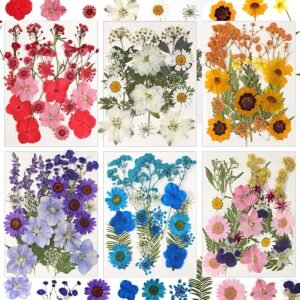 Prenium Pressed Flower For Epoxy Resin Crafting- Export Quality